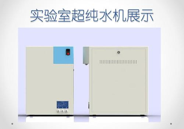 91视频最新网站