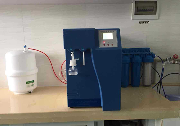 91视频最新网站