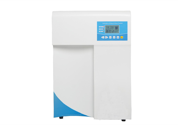 91视频最新网站