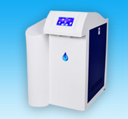 91视频最新网站